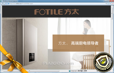 燃气热水器、即热.